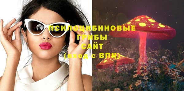 ГАЛЛЮЦИНОГЕННЫЕ ГРИБЫ Иноземцево