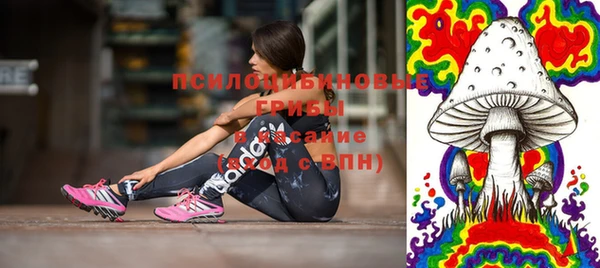 ГАЛЛЮЦИНОГЕННЫЕ ГРИБЫ Иноземцево