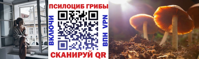 Псилоцибиновые грибы Magic Shrooms  Купить  Сорск